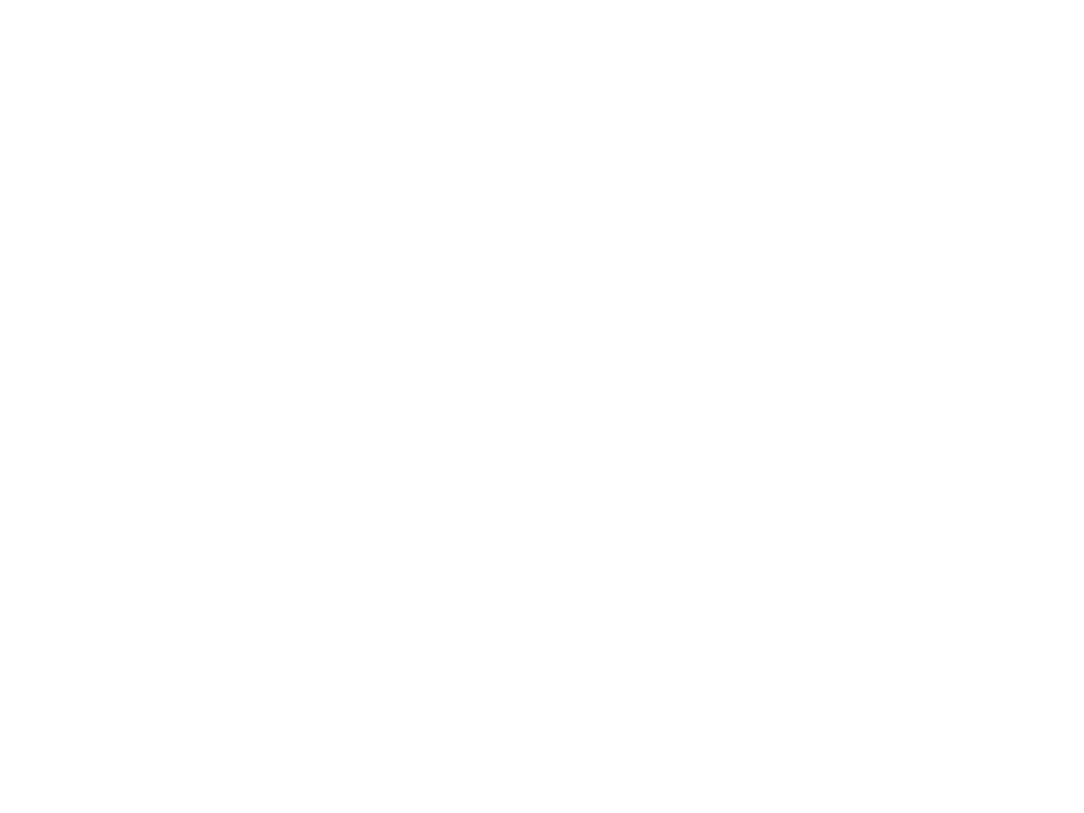 Vaeridion